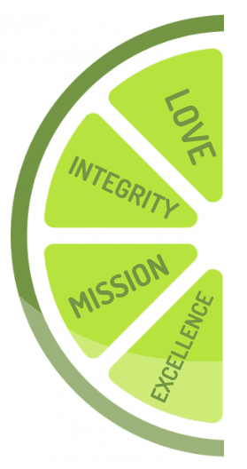 LIME Painting Core Values