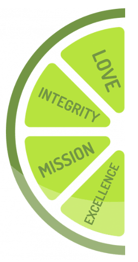 LIME Painting Core Values
